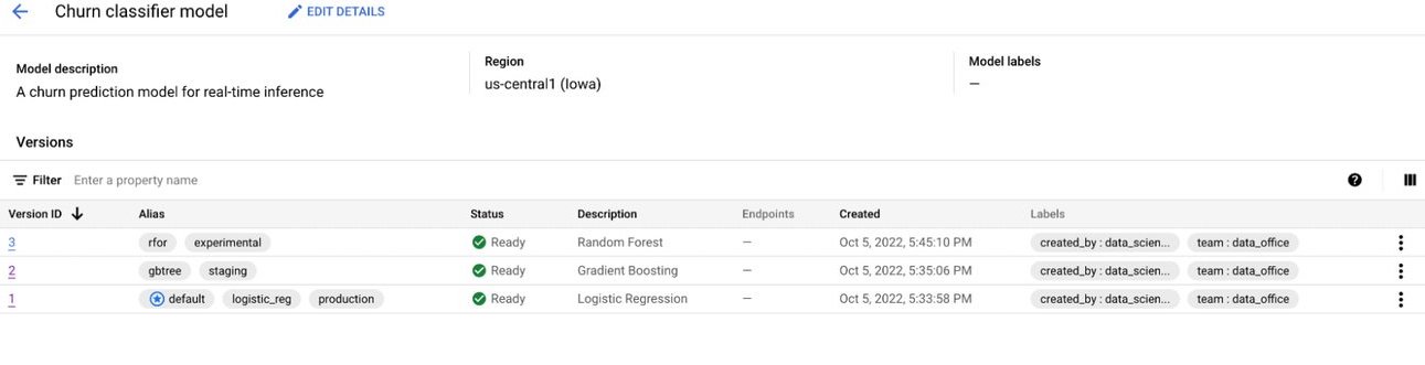 A single model's page in a Google model registry.